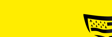 Vannes aux couleurs du Tour