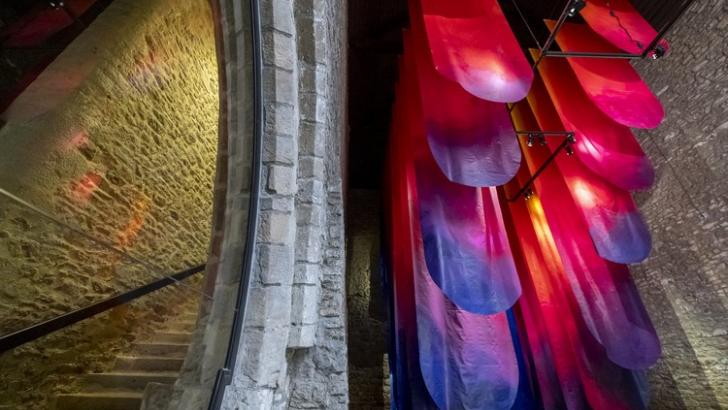 Exposition UNDA Elsa Tomkowiak Musée La Cohue_FLD