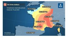 Prev Dimance 19-06-2022
