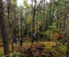 Sortie rando nature au bois du Huelfaut Le 29 janv 2025