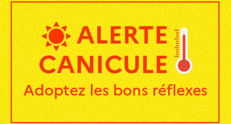 canicule
