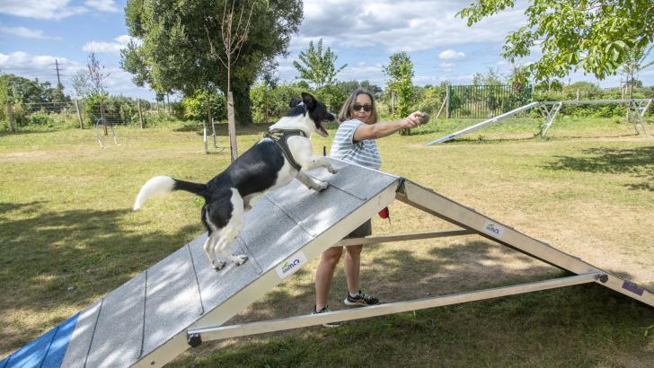 parc canin