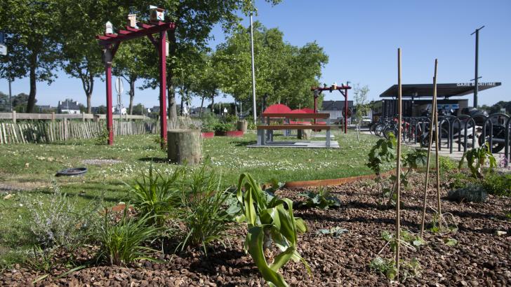 jardin à croquer