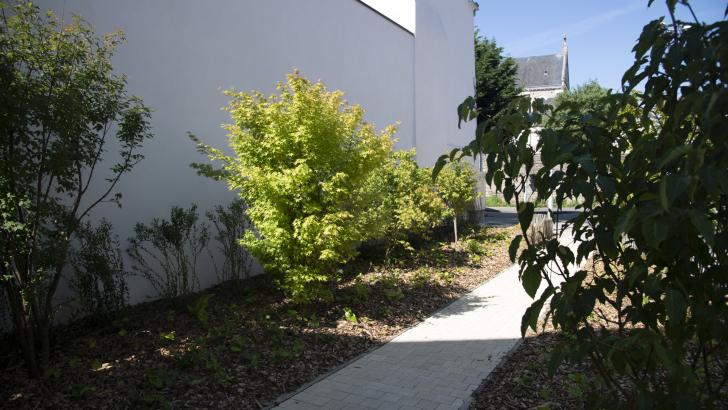 jardin de feuillage