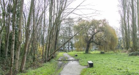 Abattage Arbres Parc du Rohan