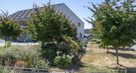 Jardin Partagé Nord Gare Asso Fleurs de Pavé©F.LeDivenah_GMVA